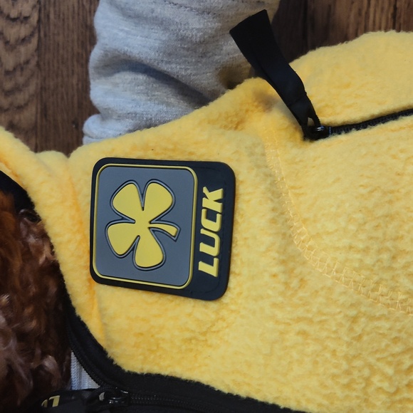 Vintage Gund Wish Bear Limited Edition Luck Bear 2000 2001 EUC - Picture 3 of 12